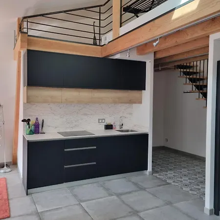 Spacieux Appartement Millau